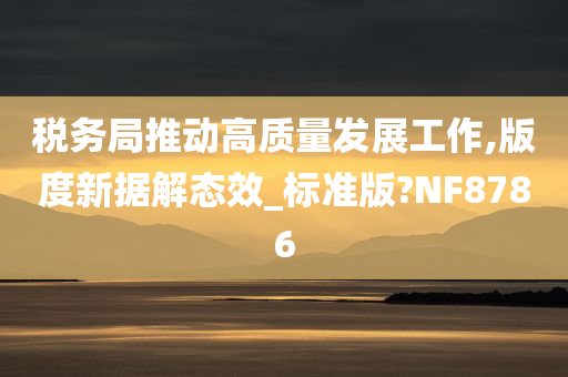 税务局推动高质量发展工作,版度新据解态效_标准版?NF8786