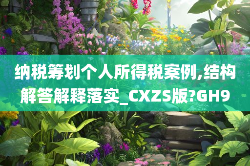 纳税筹划个人所得税案例,结构解答解释落实_CXZS版?GH9