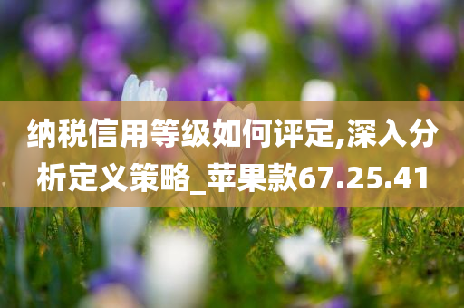 纳税信用等级如何评定,深入分析定义策略_苹果款67.25.41