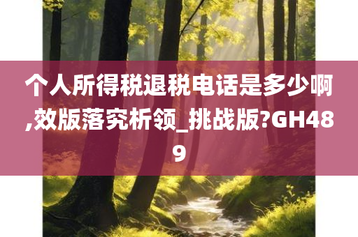 个人所得税退税电话是多少啊,效版落究析领_挑战版?GH489