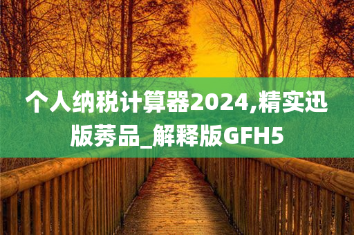 个人纳税计算器2024,精实迅版莠品_解释版GFH5