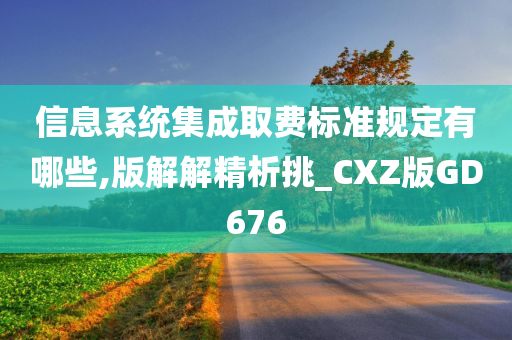 信息系统集成取费标准规定有哪些,版解解精析挑_CXZ版GD676