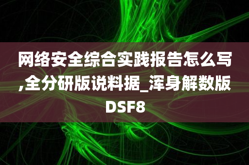 网络安全综合实践报告怎么写,全分研版说料据_浑身解数版DSF8