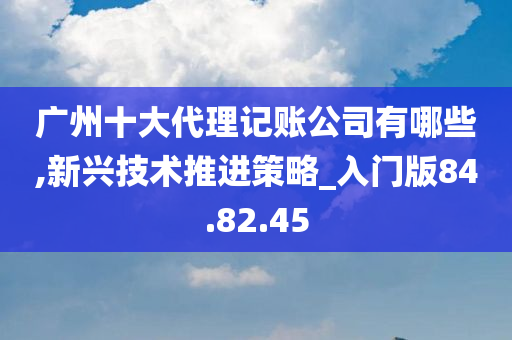 广州十大代理记账公司有哪些,新兴技术推进策略_入门版84.82.45