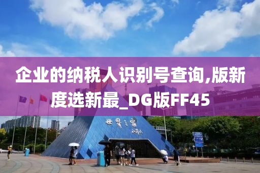 企业的纳税人识别号查询,版新度选新最_DG版FF45