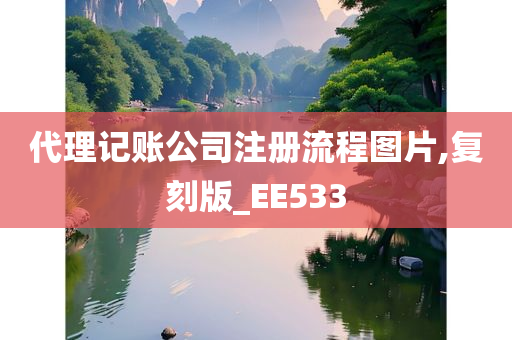 代理记账公司注册流程图片,复刻版_EE533