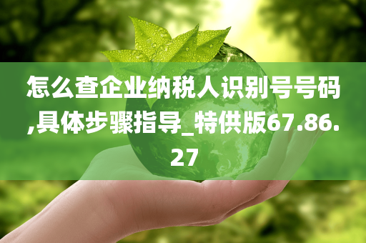 怎么查企业纳税人识别号号码,具体步骤指导_特供版67.86.27