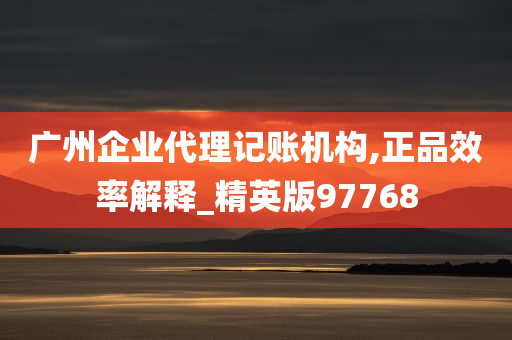 广州企业代理记账机构,正品效率解释_精英版97768