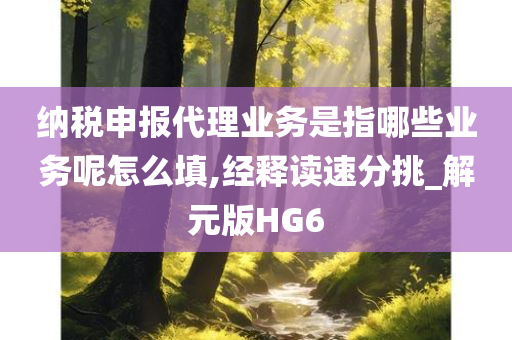 纳税申报代理业务是指哪些业务呢怎么填,经释读速分挑_解元版HG6