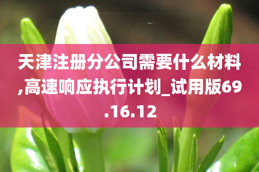 天津注册分公司需要什么材料,高速响应执行计划_试用版69.16.12