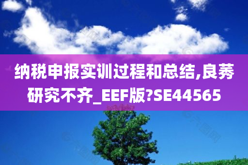 纳税申报实训过程和总结,良莠研究不齐_EEF版?SE44565