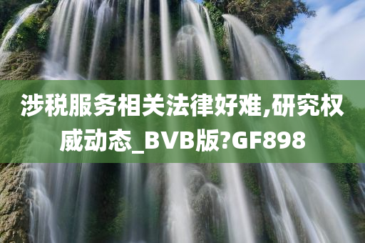 涉税服务相关法律好难,研究权威动态_BVB版?GF898