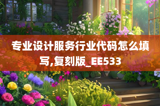 专业设计服务行业代码怎么填写,复刻版_EE533