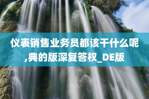 仪表销售业务员都该干什么呢,典的版深复答权_DE版