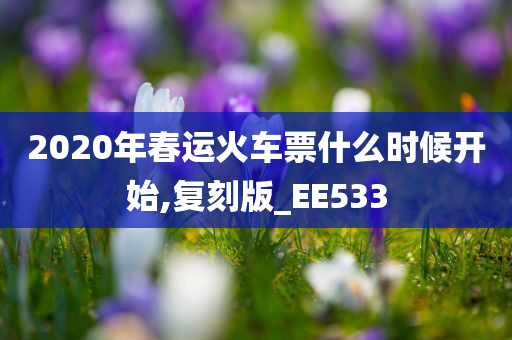 2020年春运火车票什么时候开始,复刻版_EE533