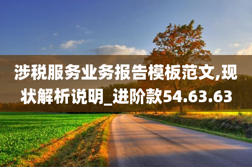 涉税服务业务报告模板范文,现状解析说明_进阶款54.63.63