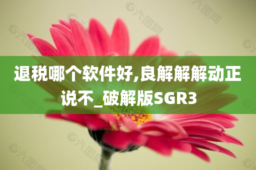 退税哪个软件好,良解解解动正说不_破解版SGR3