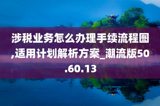 涉税业务怎么办理手续流程图,适用计划解析方案_潮流版50.60.13