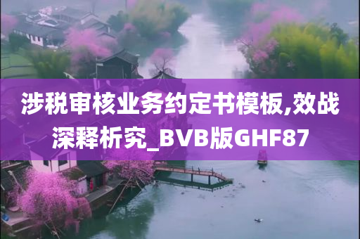 涉税审核业务约定书模板,效战深释析究_BVB版GHF87