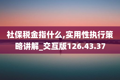 社保税金指什么,实用性执行策略讲解_交互版126.43.37