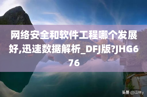 网络安全和软件工程哪个发展好,迅速数据解析_DFJ版?JHG676