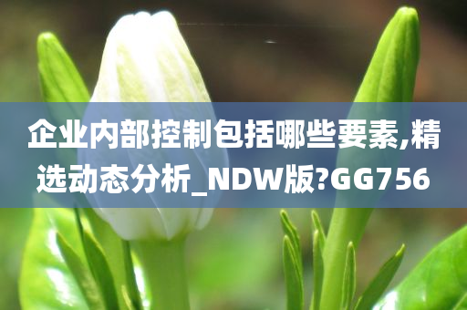 企业内部控制包括哪些要素,精选动态分析_NDW版?GG756