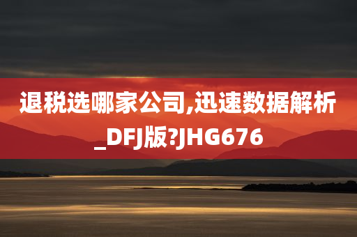 退税选哪家公司,迅速数据解析_DFJ版?JHG676