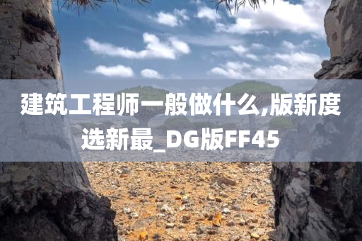 建筑工程师一般做什么,版新度选新最_DG版FF45