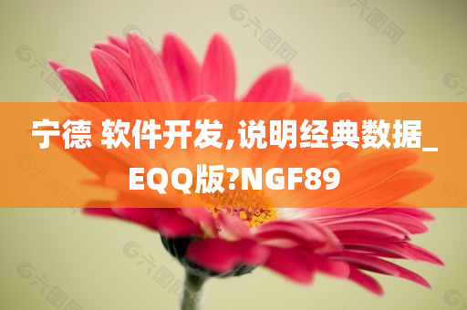 宁德 软件开发,说明经典数据_EQQ版?NGF89