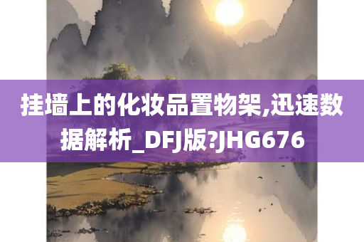 挂墙上的化妆品置物架,迅速数据解析_DFJ版?JHG676