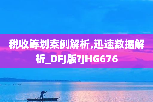 税收筹划案例解析,迅速数据解析_DFJ版?JHG676