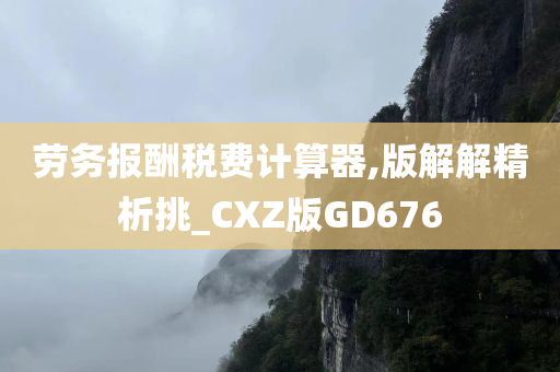 劳务报酬税费计算器,版解解精析挑_CXZ版GD676