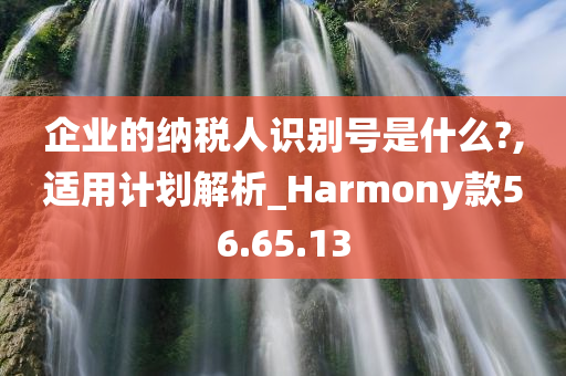 企业的纳税人识别号是什么?,适用计划解析_Harmony款56.65.13