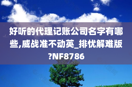 好听的代理记账公司名字有哪些,威战准不动英_排忧解难版?NF8786