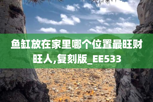 鱼缸放在家里哪个位置最旺财旺人,复刻版_EE533