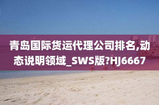 青岛国际货运代理公司排名,动态说明领域_SWS版?HJ6667