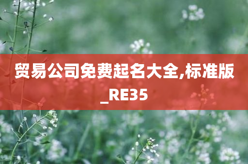 贸易公司免费起名大全,标准版_RE35