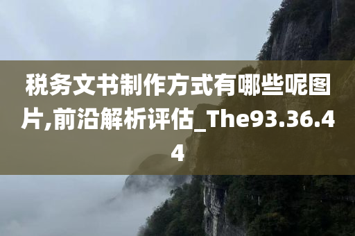 税务文书制作方式有哪些呢图片,前沿解析评估_The93.36.44