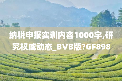 纳税申报实训内容1000字,研究权威动态_BVB版?GF898