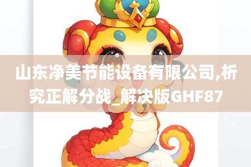 山东净美节能设备有限公司,析究正解分战_解决版GHF87