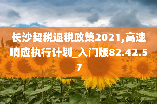 长沙契税退税政策2021,高速响应执行计划_入门版82.42.57