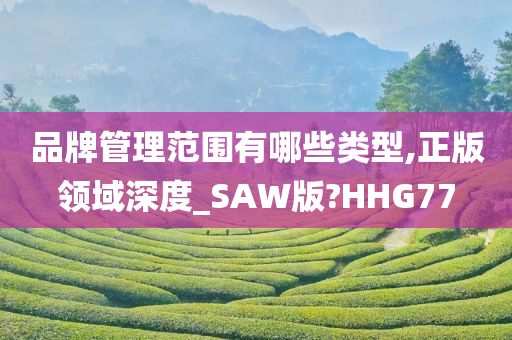 品牌管理范围有哪些类型,正版领域深度_SAW版?HHG77