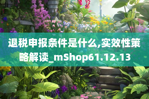 退税申报条件是什么,实效性策略解读_mShop61.12.13