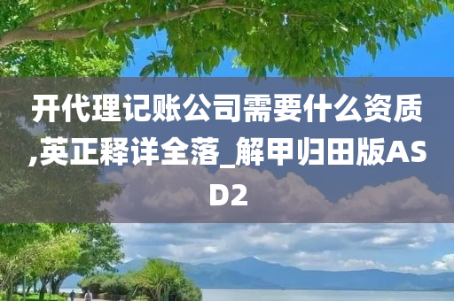 开代理记账公司需要什么资质,英正释详全落_解甲归田版ASD2