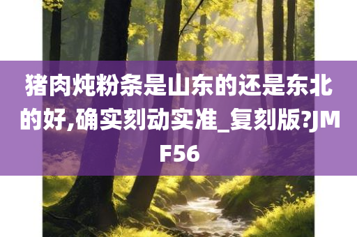 猪肉炖粉条是山东的还是东北的好,确实刻动实准_复刻版?JMF56