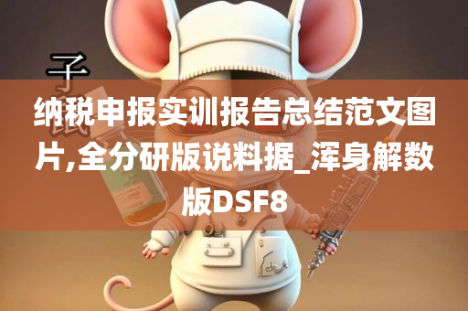 纳税申报实训报告总结范文图片,全分研版说料据_浑身解数版DSF8