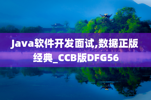 Java软件开发面试,数据正版经典_CCB版DFG56