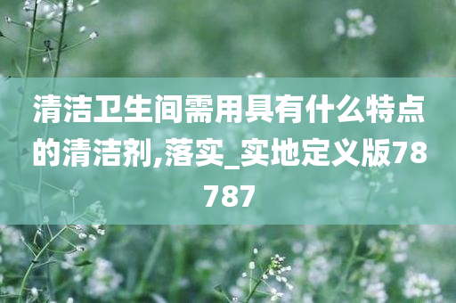 清洁卫生间需用具有什么特点的清洁剂,落实_实地定义版78787