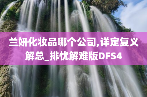 兰妍化妆品哪个公司,详定复义解总_排忧解难版DFS4