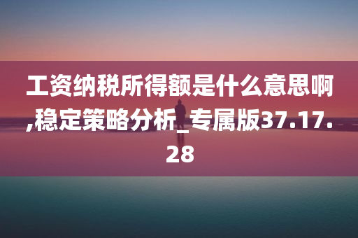 工资纳税所得额是什么意思啊,稳定策略分析_专属版37.17.28